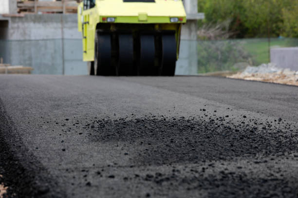 Best Decorative Driveway Pavers  in Thonotosassa, FL