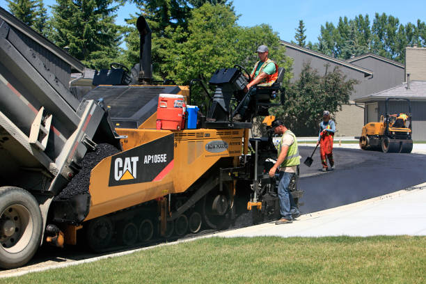 Best Local Driveway Pavers  in Thonotosassa, FL