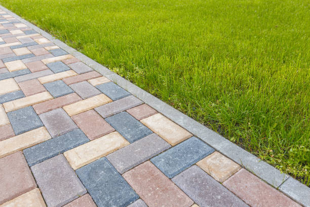 Best Driveway Paving Company  in Thonotosassa, FL